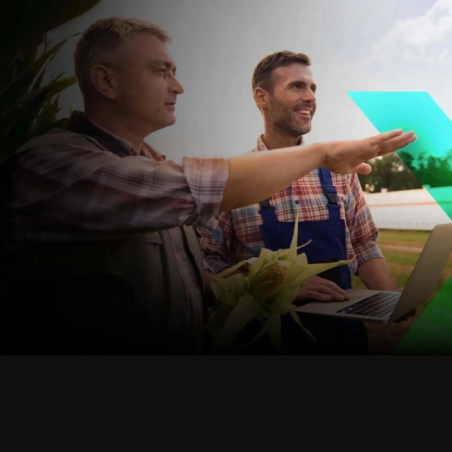 Agencia de marketing digital especialista em Agronegócio