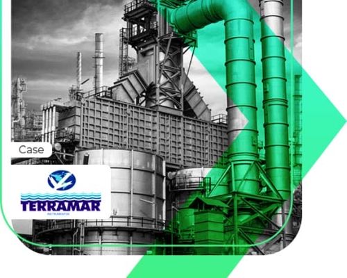Cases de sucesso 3 Como a Terramar Instrumentos teve aumento de 250% em vendas com Tráfego Pago