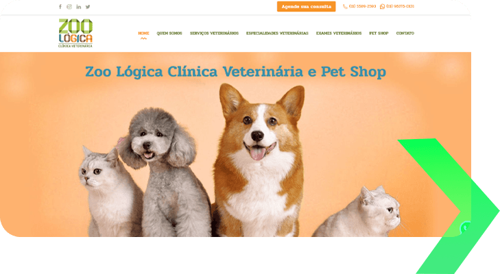 zoologica-marketing-digital