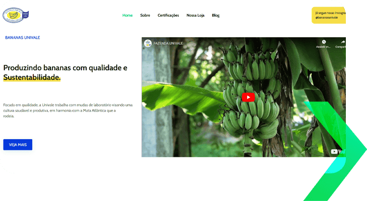 Agência de Marketing Digital Especialista em Agronegócio 16 Fazenda Univale agro mkt