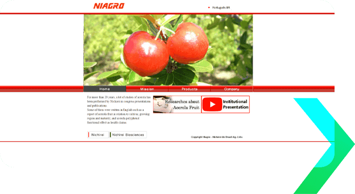 Agência de Marketing Digital Especialista em Agronegócio 21 niagro