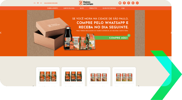 Agência de Marketing Digital Especialista em Agronegócio 12 Raízes do Campo mkt