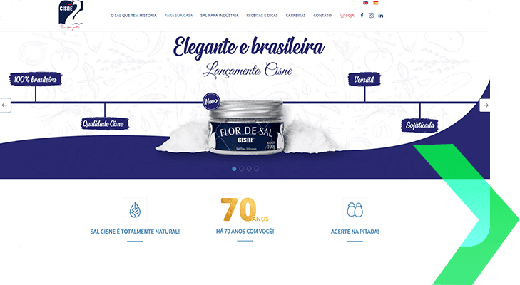 Sal Cisne- Criação de Site