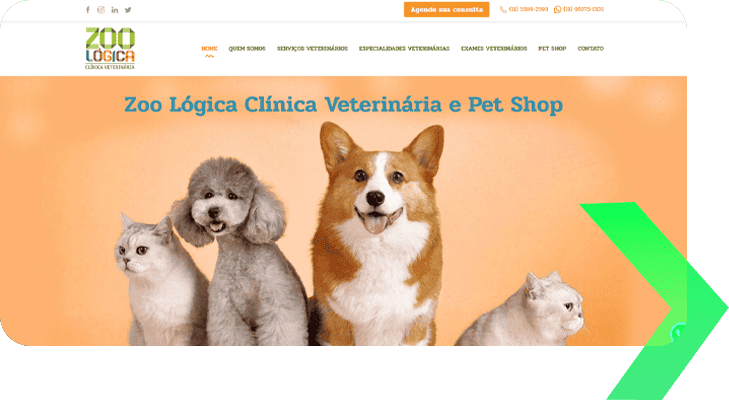 zoologica-marketing-digital