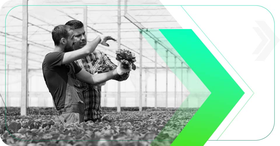 Agência de Marketing Digital Especialista em Agronegócio 27 6 Vantagens da Consultoria de Marketing Agrícola para Seu Negócio