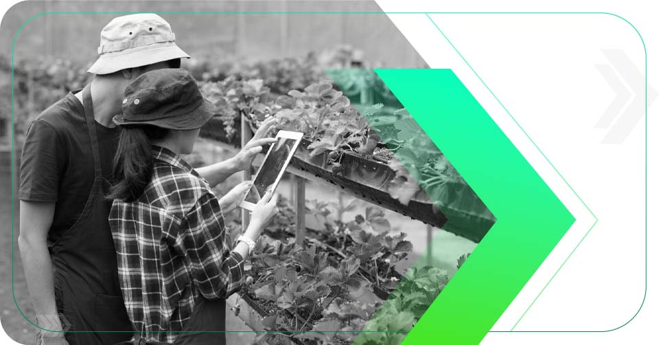 5 Estratégias Eficazes de Marketing Digital para Agronegócios 17 5 Estratégias Eficazes de Marketing Digital para Agronegócios
