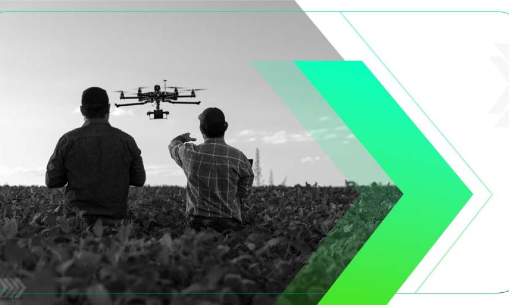 Estratégias Tecnológicas para o Crescimento do Agronegócio: A Importância dos Drones
