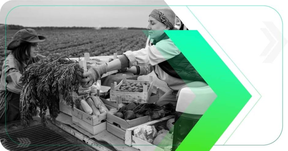 Do Campo à Mesa: Como Marcas de Alimentos e Bebidas Estão Crescendo com o Digital