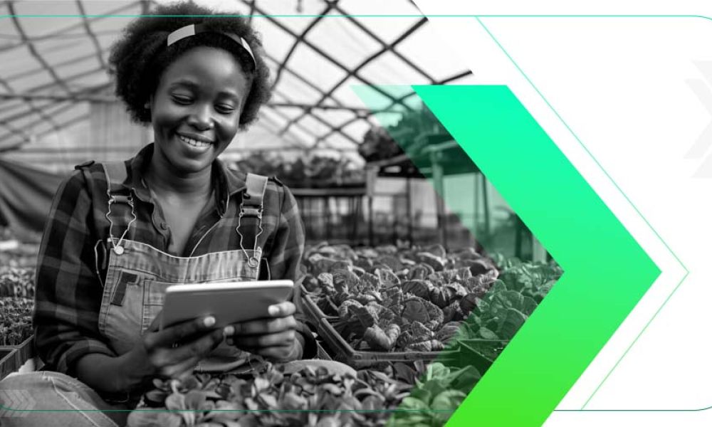 6 Tendências de Marketing no Agronegócio para 2024